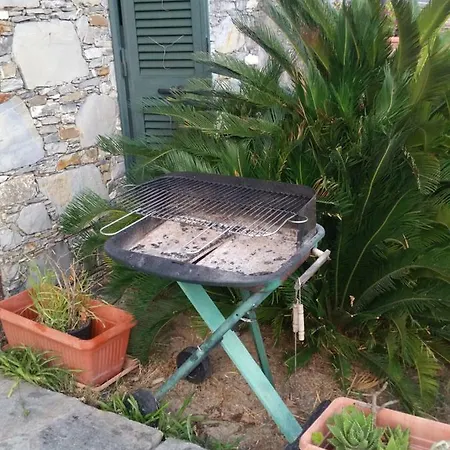Pia * Recco